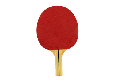 Family Beginner Table Tennis Bats Simple Standard Size Pimple Out Rubber Without Sponge